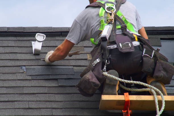 Best Roof Gutter Cleaning  in Evadale, TX
