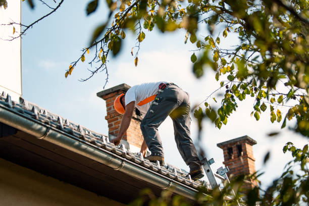 Best Best Roofing Contractors  in Evadale, TX