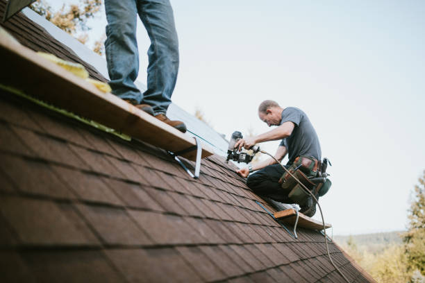Best Gutter Installation and Roofing  in Evadale, TX